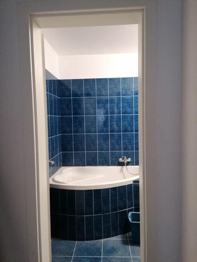 Apartament Near The Park Two Rooms Bukarest Eksteriør billede